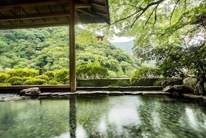 A traditional Japanese onsen with a view of lush greenery and a distant pagoda. - Yamagaso (Hakone)