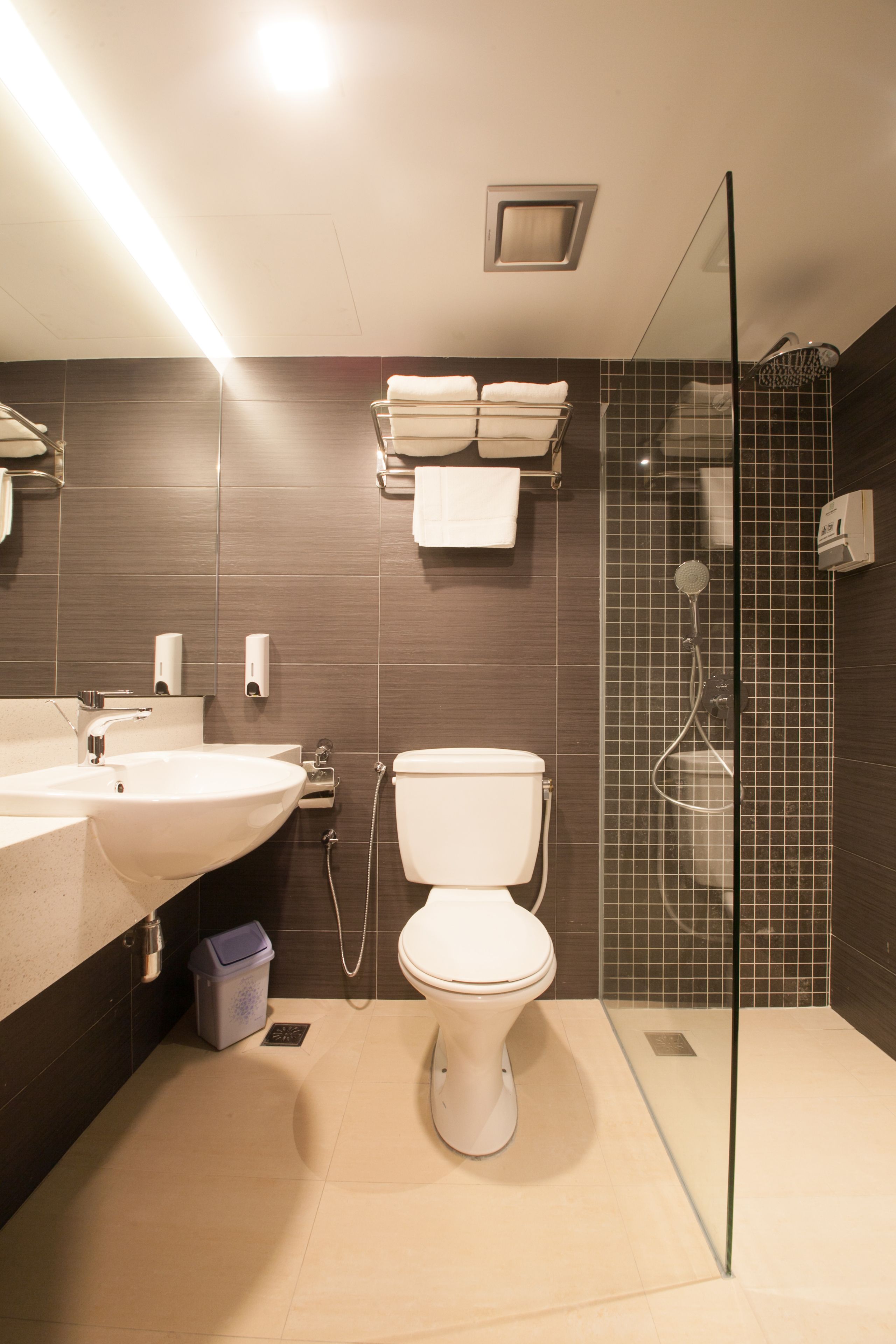 A modern bathroom with a glass shower enclosure, a white toilet, a sink with a mirror, and a towel rack.