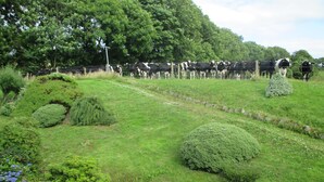 Property grounds - PK Lodge B&B (Skibbereen)