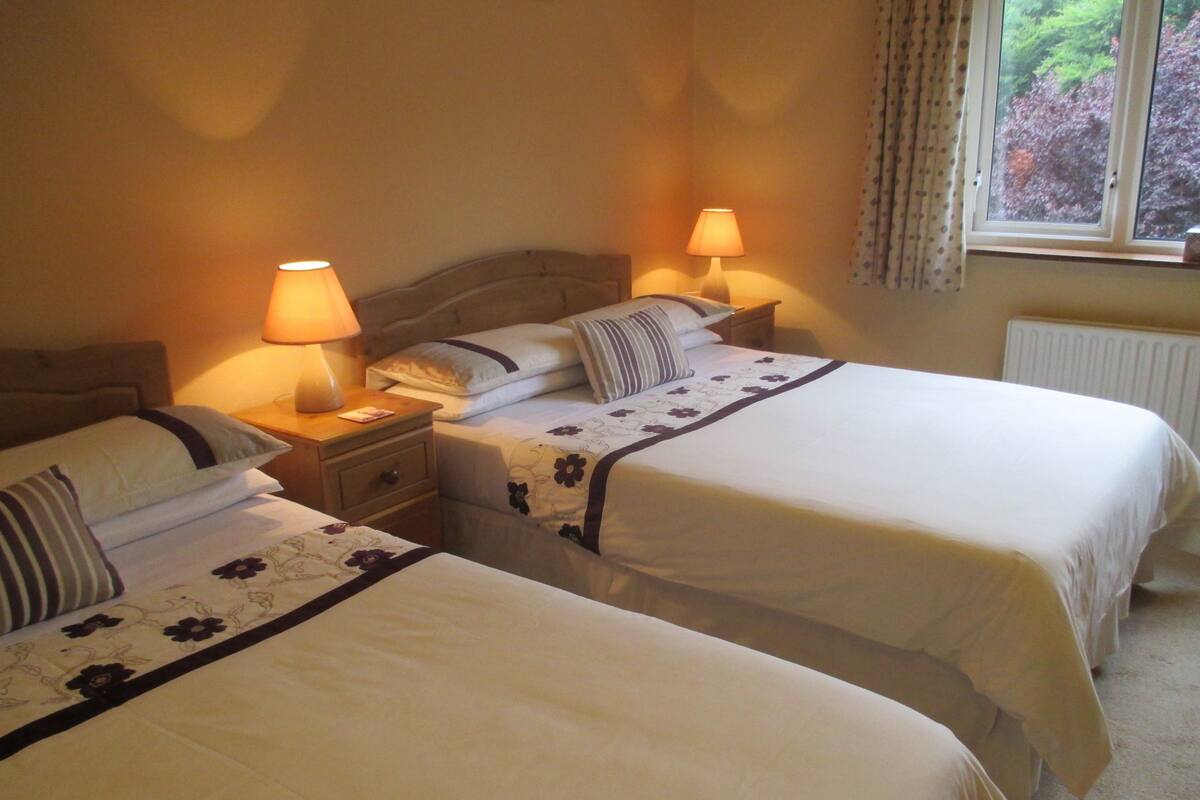 Family Room, Ensuite