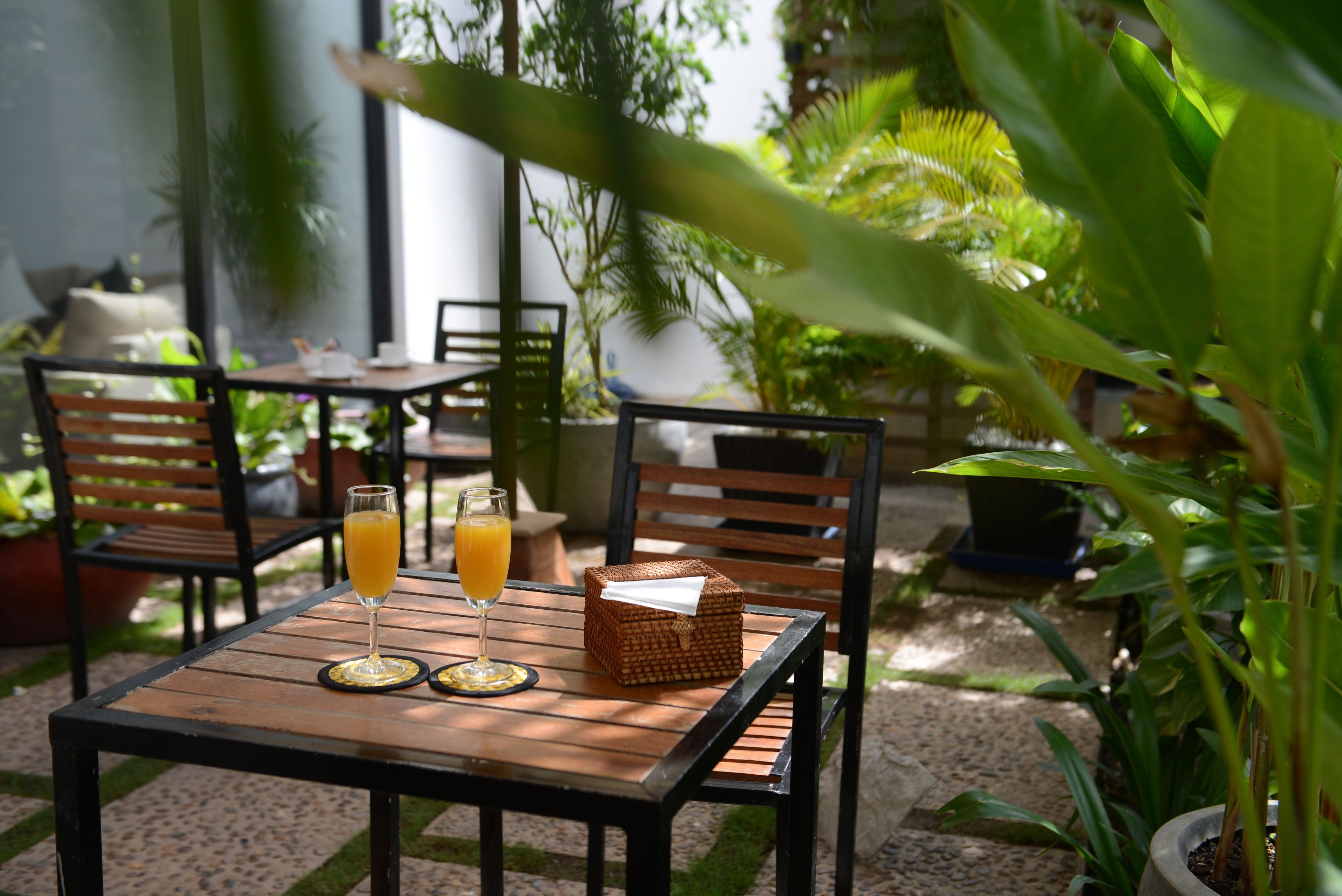 An outdoor patio with wooden tables and chairs, two glasses of orange juice, and potted plants.