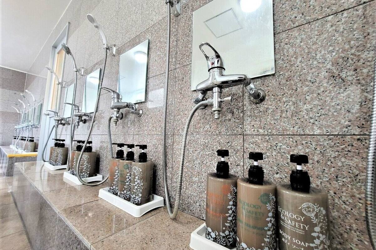 room, 1 single bed, non smoking, shared bathroom | bathroom | shower, hair dryer, slippers, towels