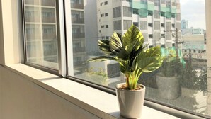 A potted plant on a windowsill with a view of modern buildings in the background. - Star Capsule Okinawa (Naha)
