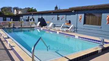 Outdoor pool, pool umbrellas, pool loungers