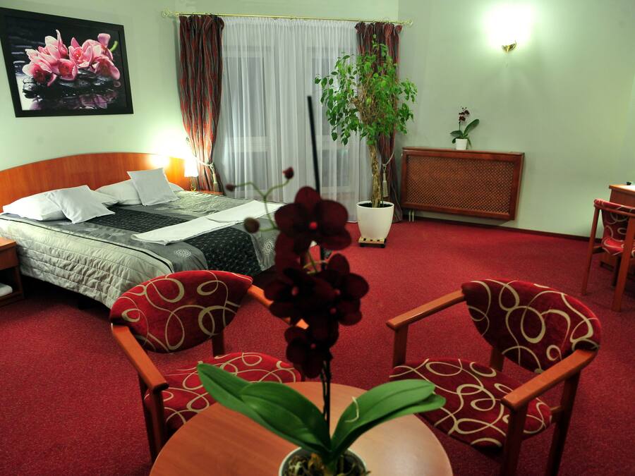 Grand Apartment | Iron/ironing board, cribs/infant beds, free WiFi, bed sheets