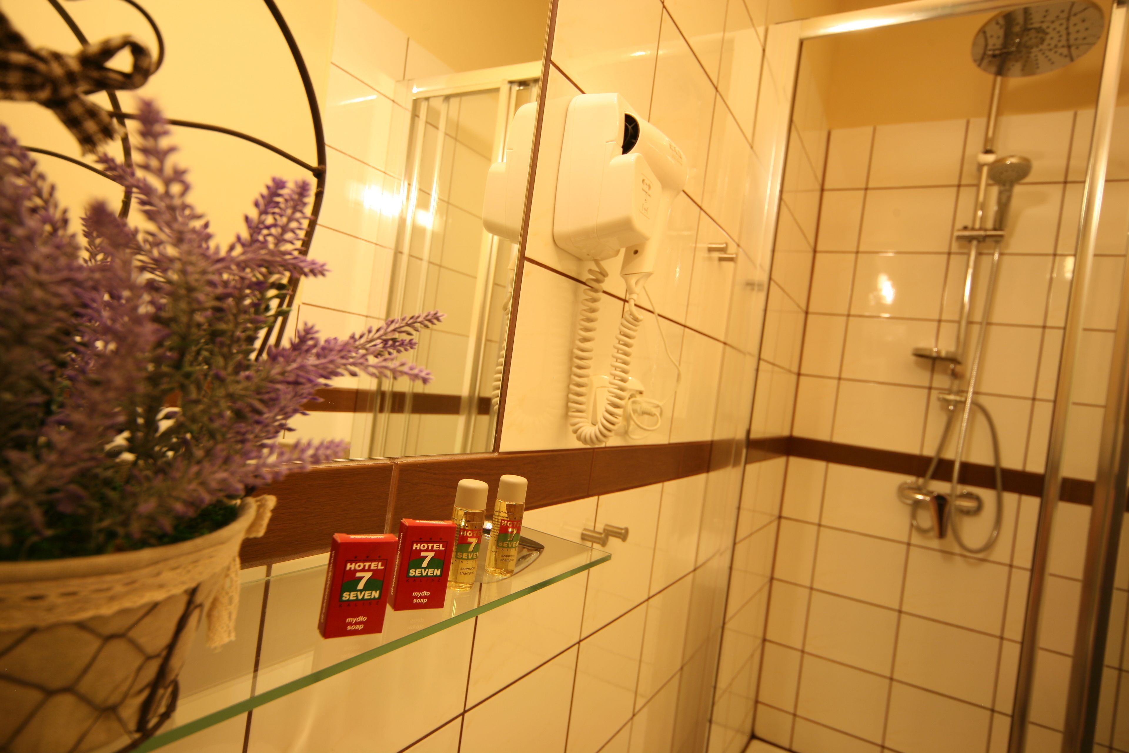 Shower, free toiletries, towels
