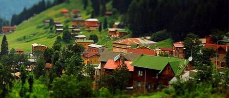 Un pueblo con casas tradicionales, rodeado de exuberante vegetación y colinas.