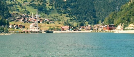 A coastal town with a prominent mosque, houses, and a body of water.