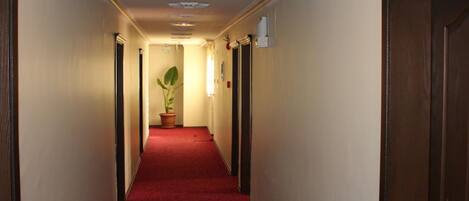 A hotel hallway with a red carpet, wooden doors, and a plant in the center.
