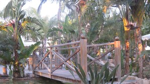 Un puente de madera sobre un estanque con plantas tropicales y un sendero de piedra.