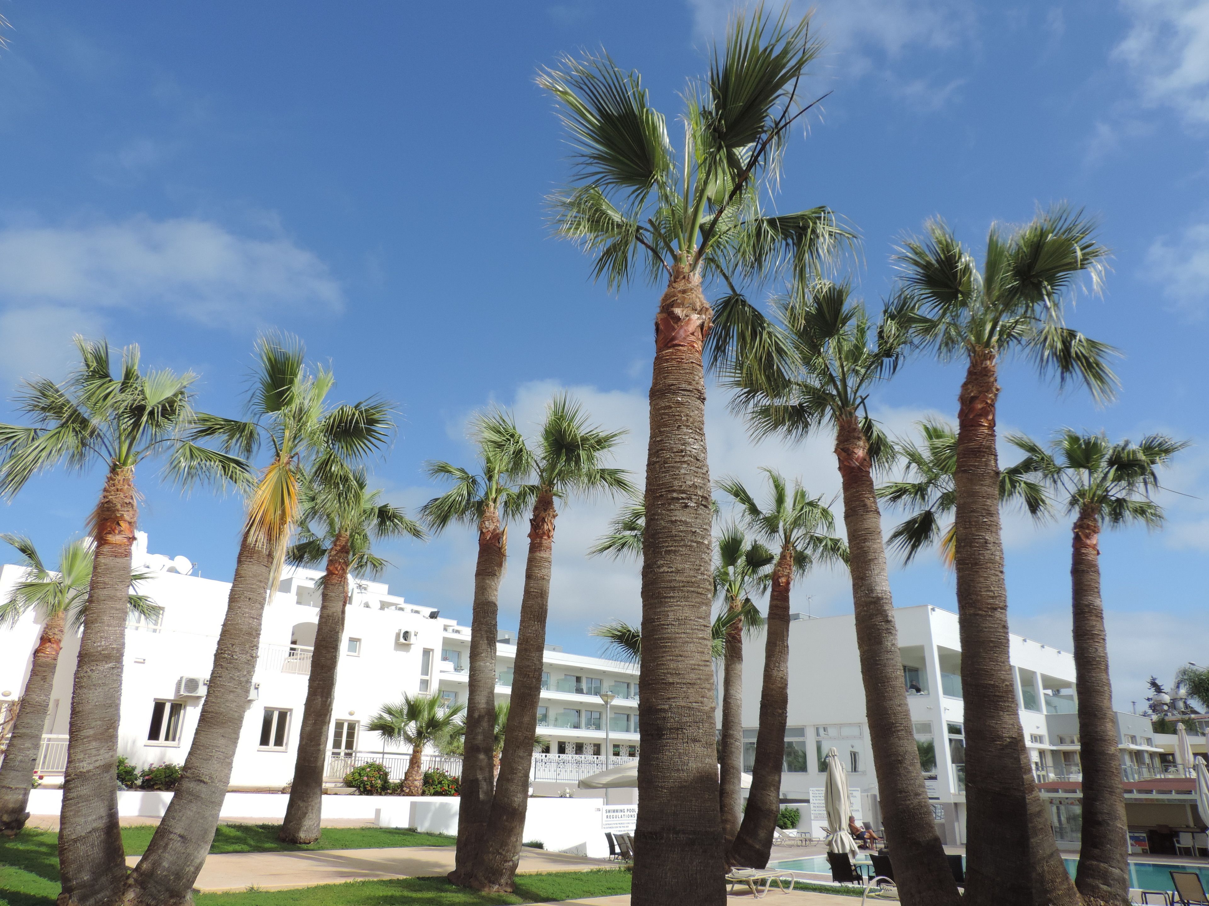 Foto - La Casa Di Napa Apartments