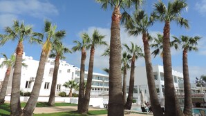 Un resort con palmeras y un área de piscina.