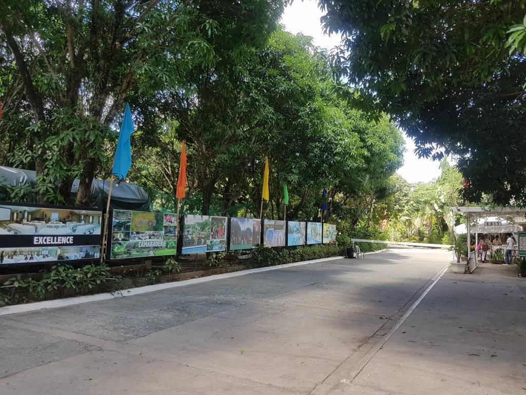 Un sendero pavimentado bordeado de árboles y una hilera de banderas coloridas.