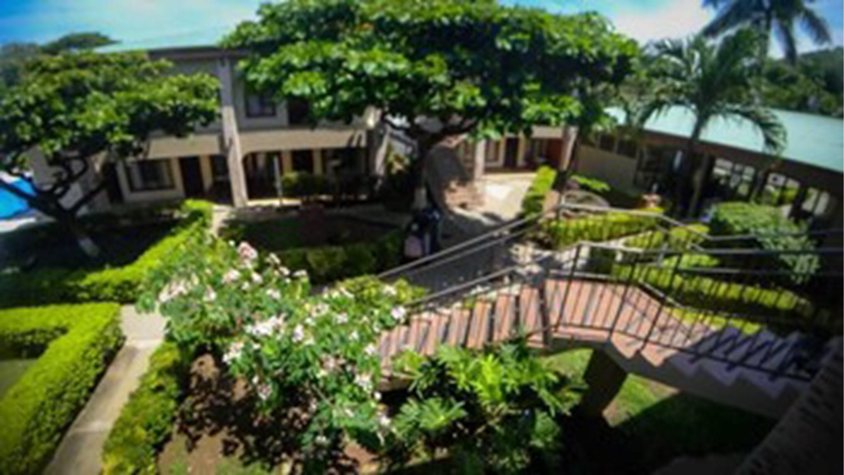 A courtyard with a staircase, surrounded by greenery and a building with multiple windows.