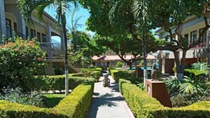 A pathway flanked by neatly trimmed hedges and palm trees, leading to a building with a balcony. - Hotel & Villas Huetares (Sardinal)
