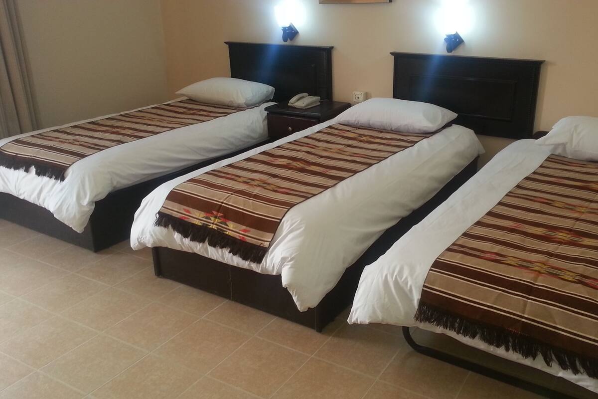Standard Triple Room, 3 Single Beds, Non Smoking | Minibar, in-room safe, desk, soundproofing