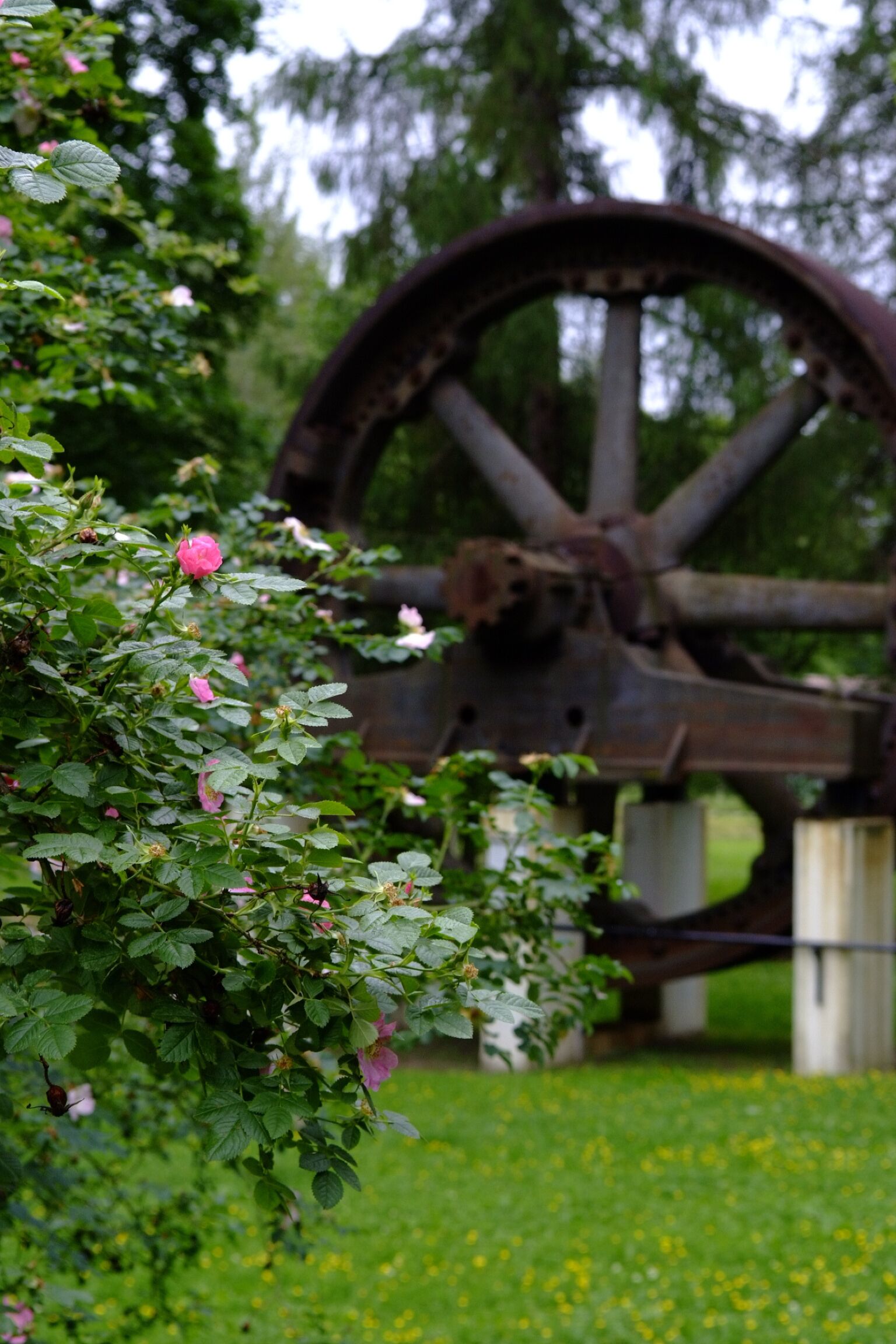 family room, 2 bedrooms, park view, garden area | park view