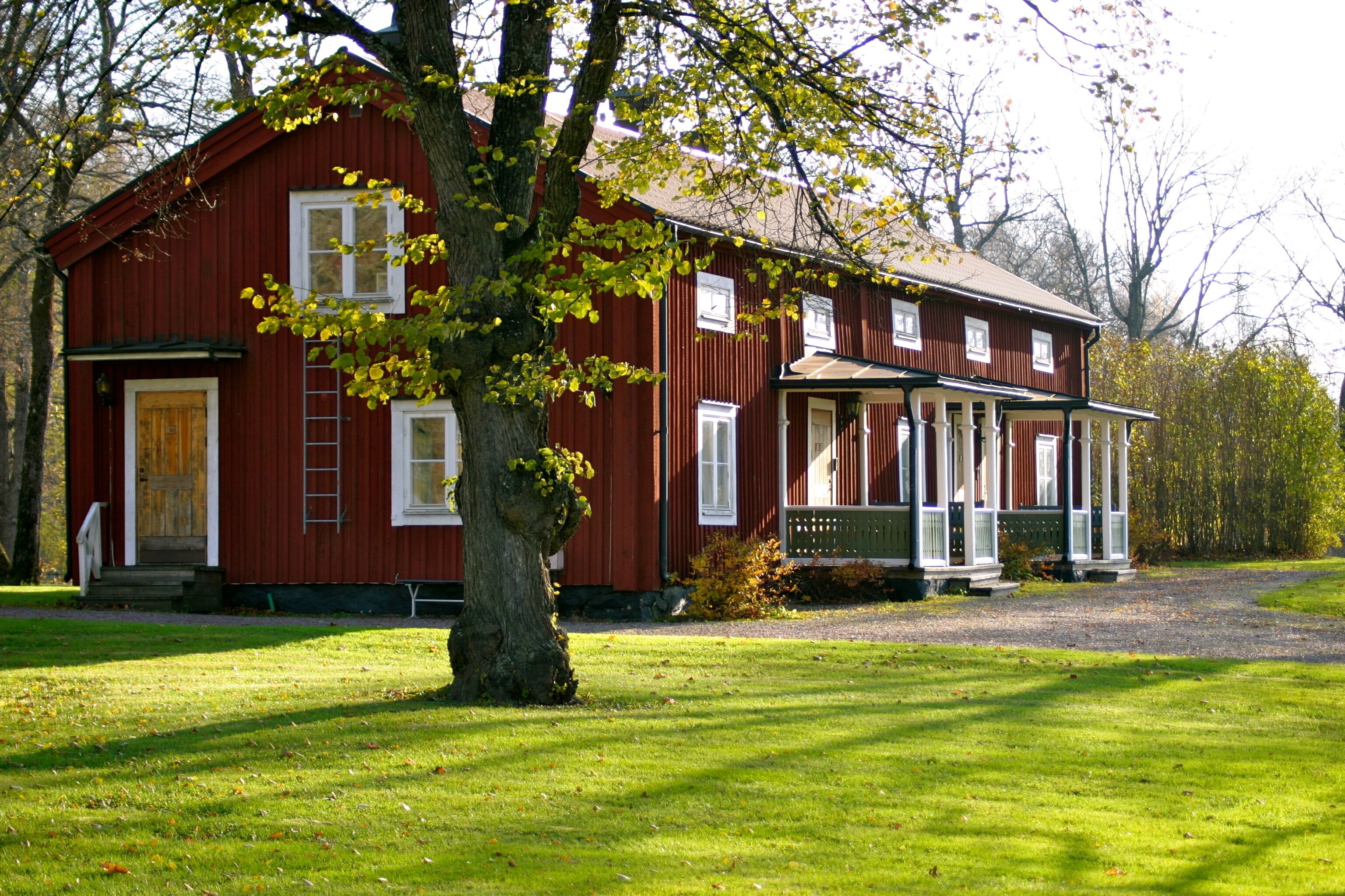 standard studio, 1 bedroom, kitchenette, garden view | park view