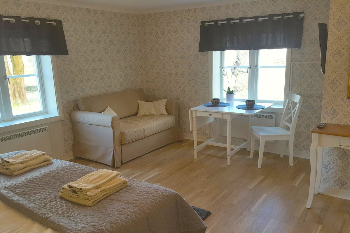 Standaard studio, 1 slaapkamer, kitchenette, uitzicht op tuin | Geluiddichte muren, gratis wifi, individueel gedecoreerd, beddengoed
