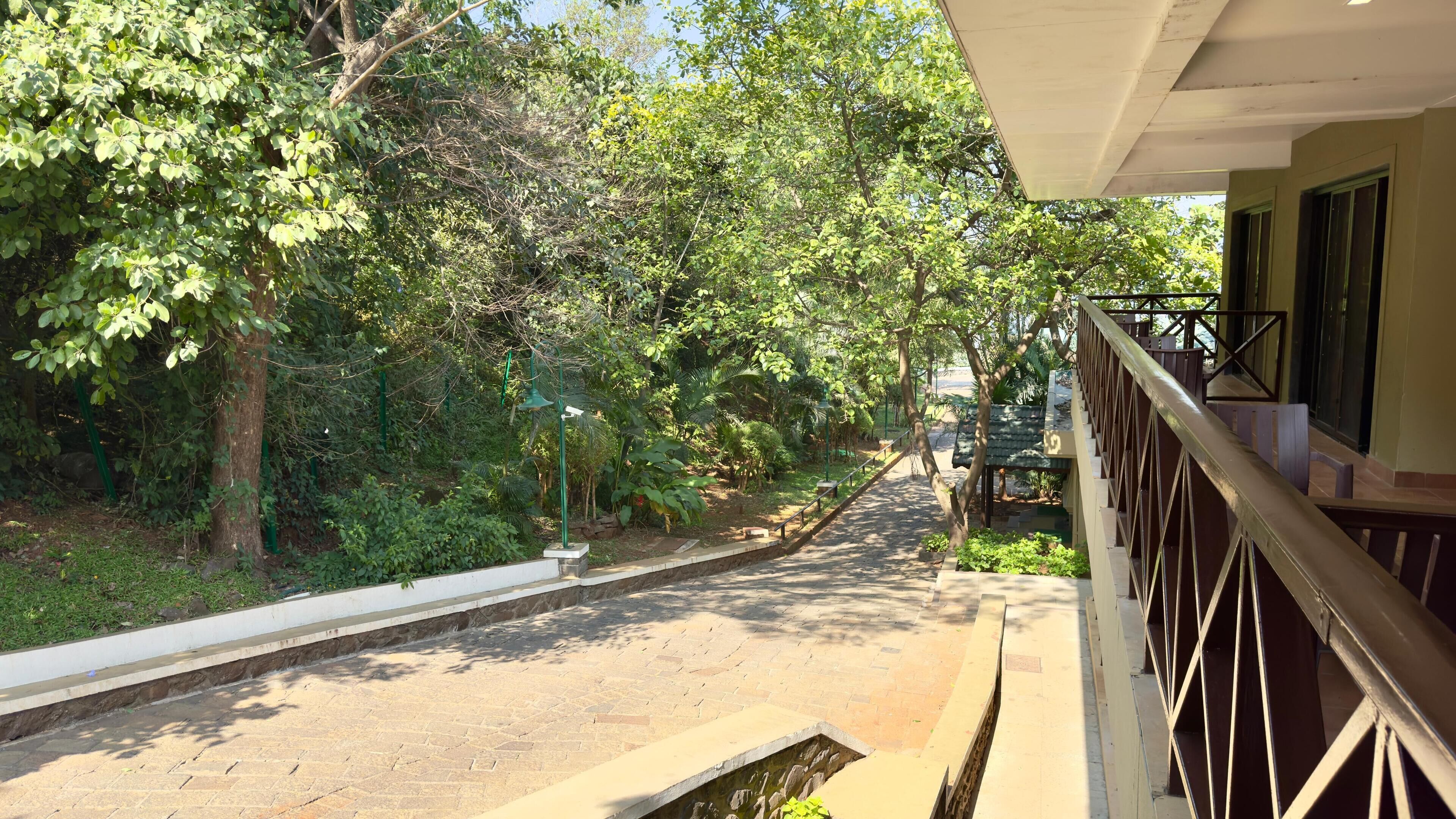 A paved pathway flanked by lush greenery and a building with a balcony.