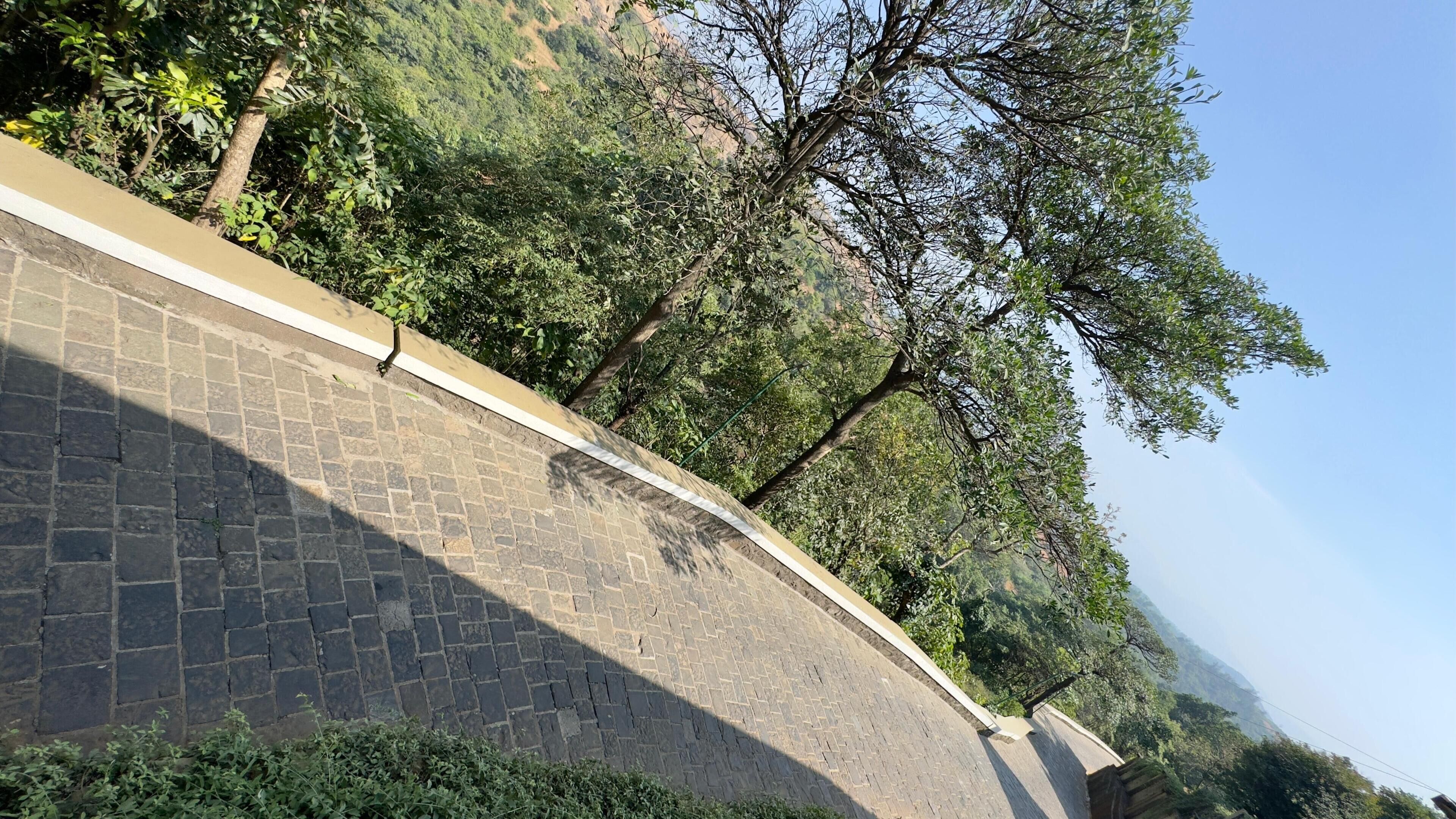 A paved pathway with a stone wall on one side and dense greenery on the other.