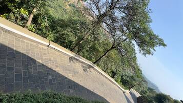 Un chemin pavé, bordé d’un côté par un mur de pierres et de l’autre par une végétation luxuriante.