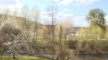 Un río con árboles y una zona cubierta de césped.