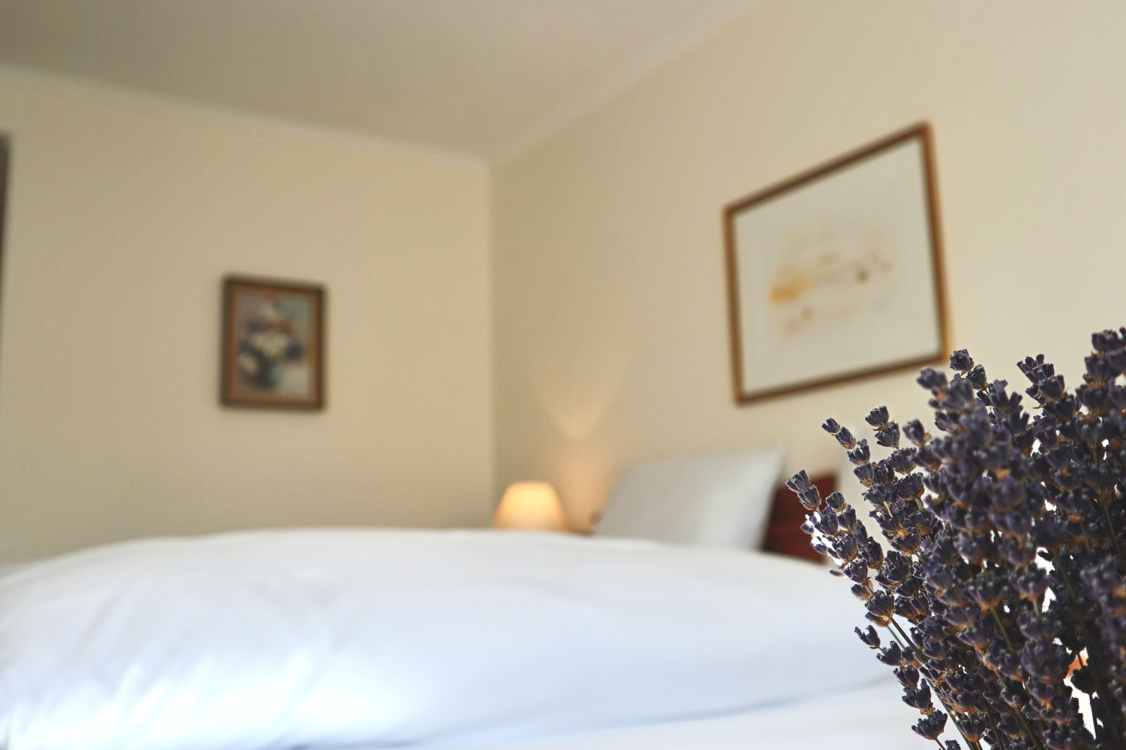 suite, 1 double bed, sauna, river view | 1 bedroom, hypo-allergenic bedding, in-room safe, blackout curtains