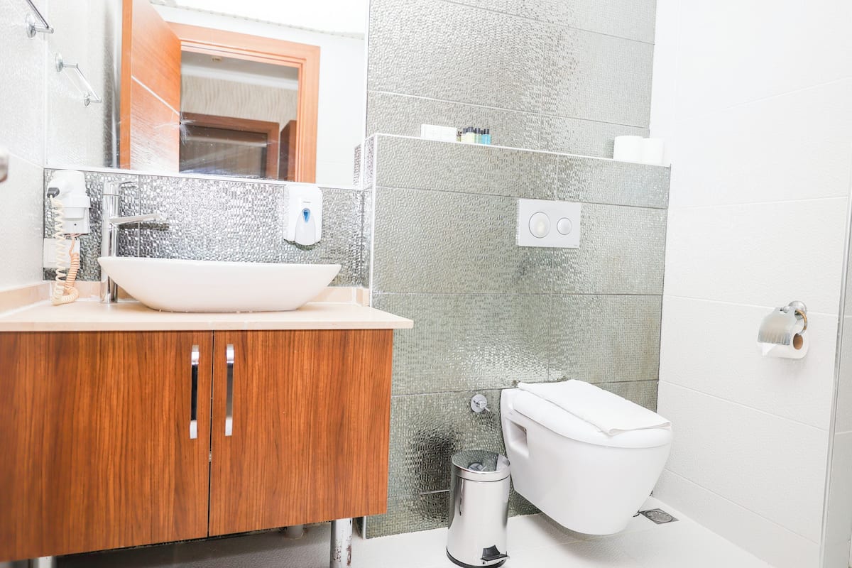 shower, free toiletries, hair dryer, slippers