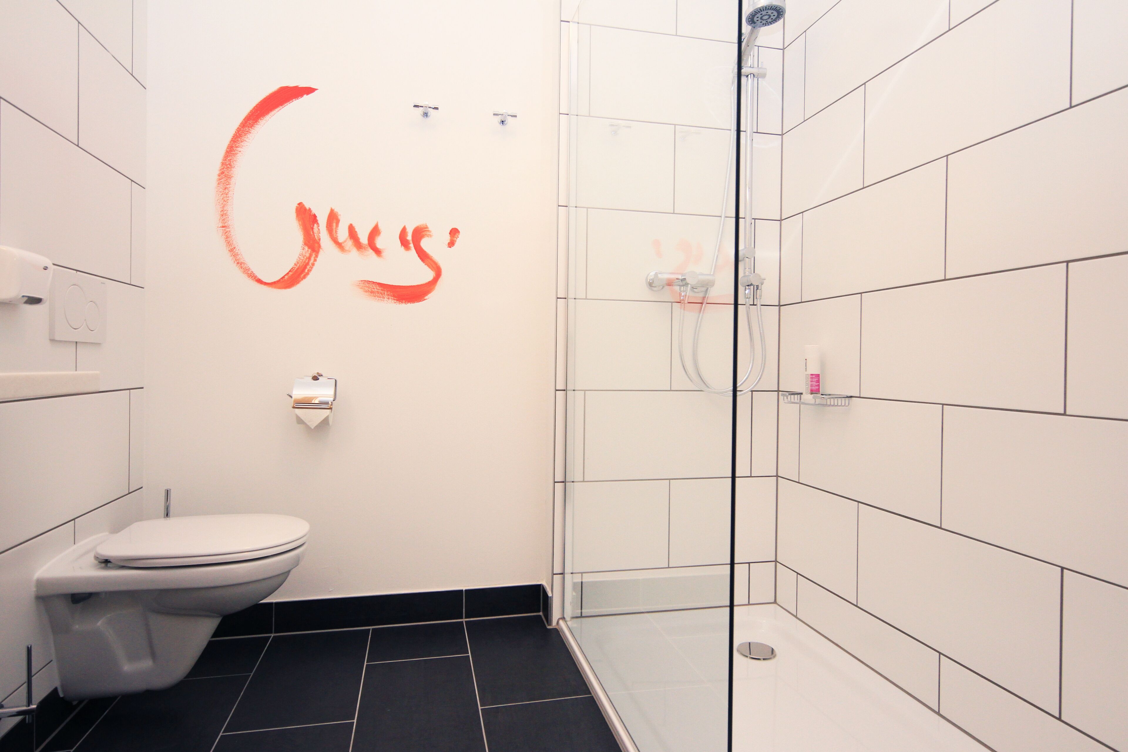 studio | bathroom | shower, rainfall showerhead, free toiletries, hair dryer