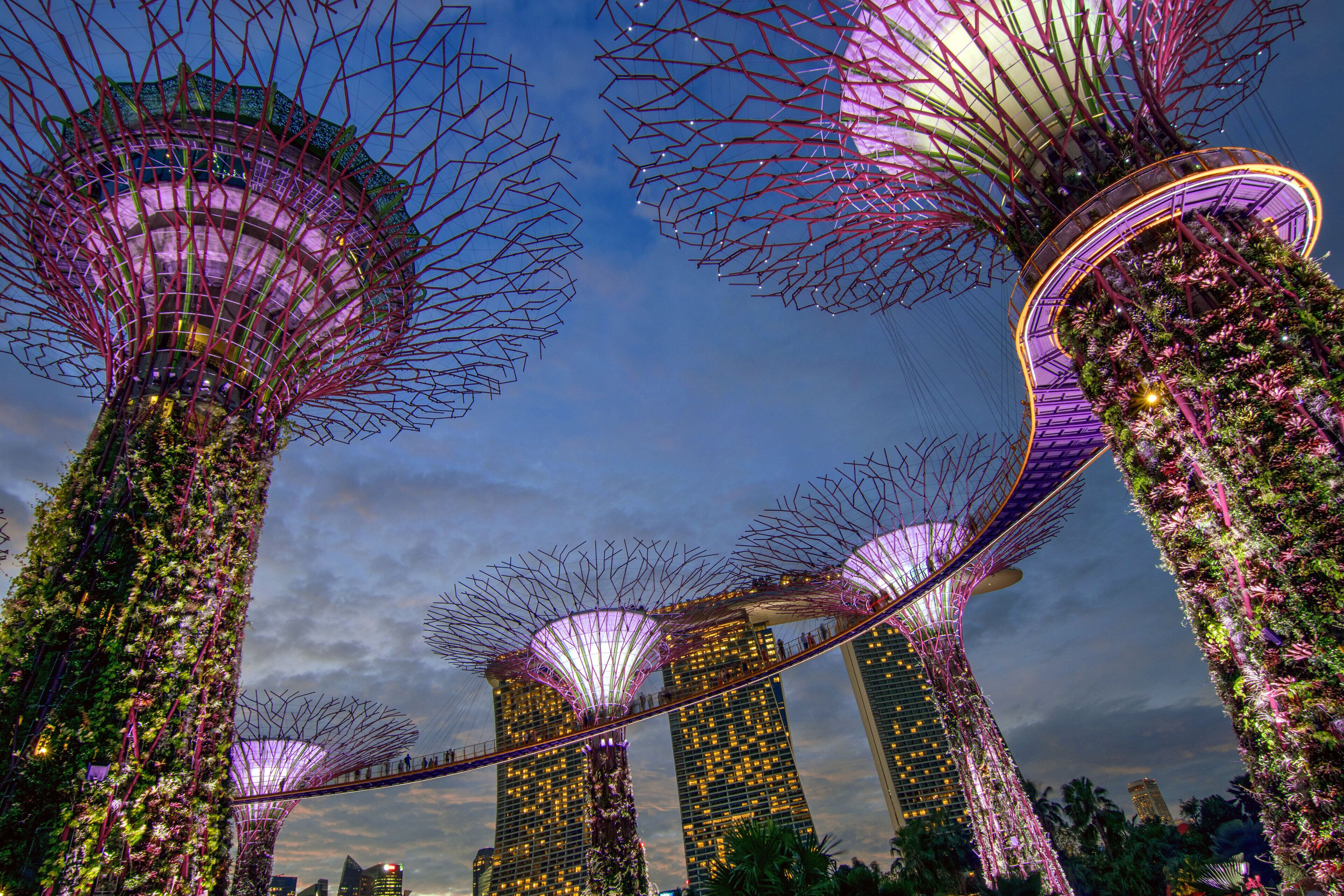 Foto - Holiday Inn Express Singapore Clarke Quay by IHG