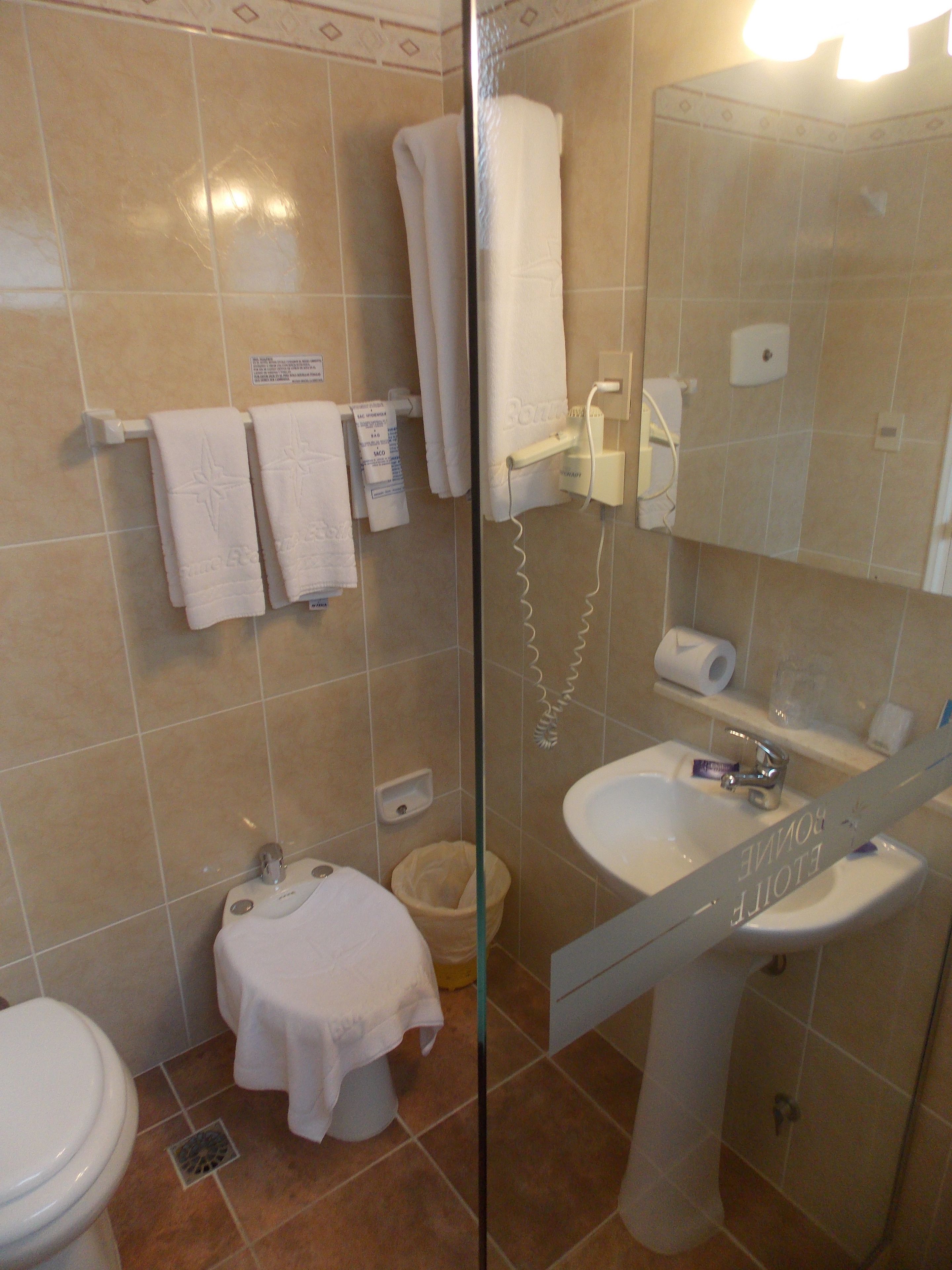 shower, hair dryer, bidet, towels