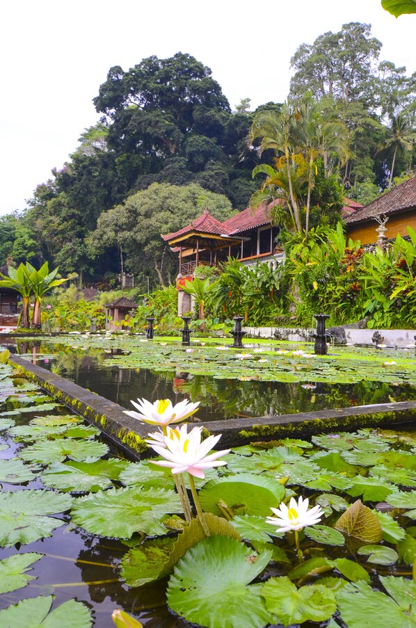 A serene pond with lotus flowers and a traditional building with a red roof. - Tirta Ayu Hotel & Restaurant (Karangasem)