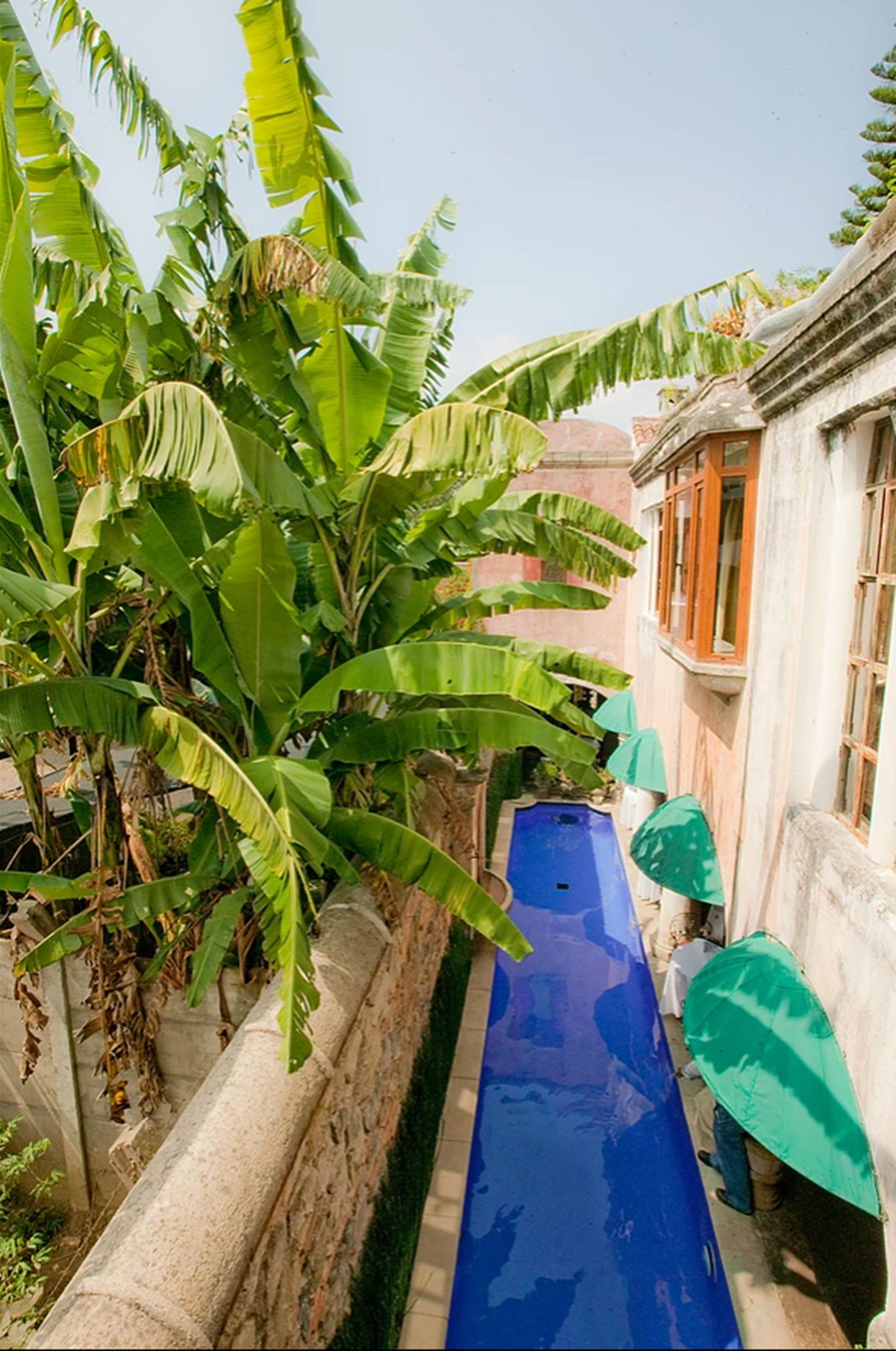 Foto - Meson Panza Verde