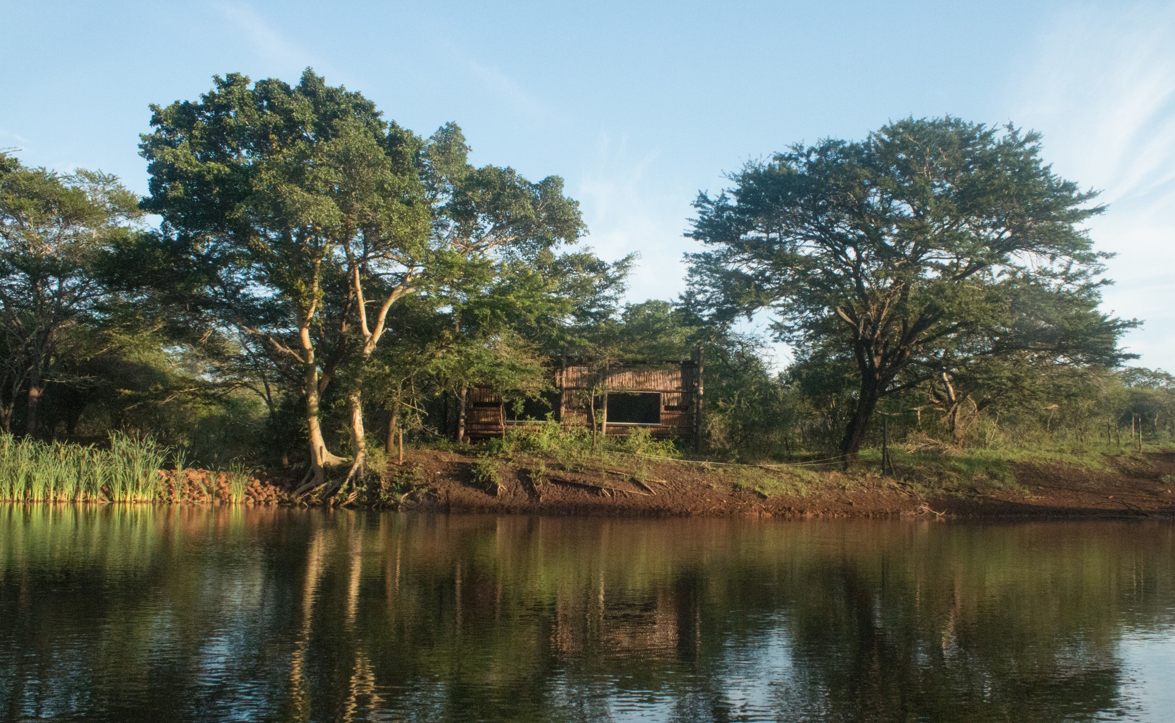 A rustic cabin by a calm lake surrounded by dense trees.
