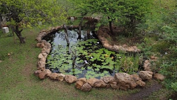 Vue aérienne