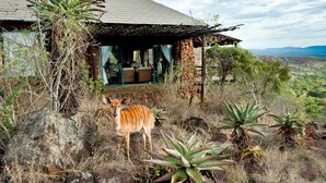 A safari lodge with a stone exterior, a covered outdoor seating area, and a view of the savanna.