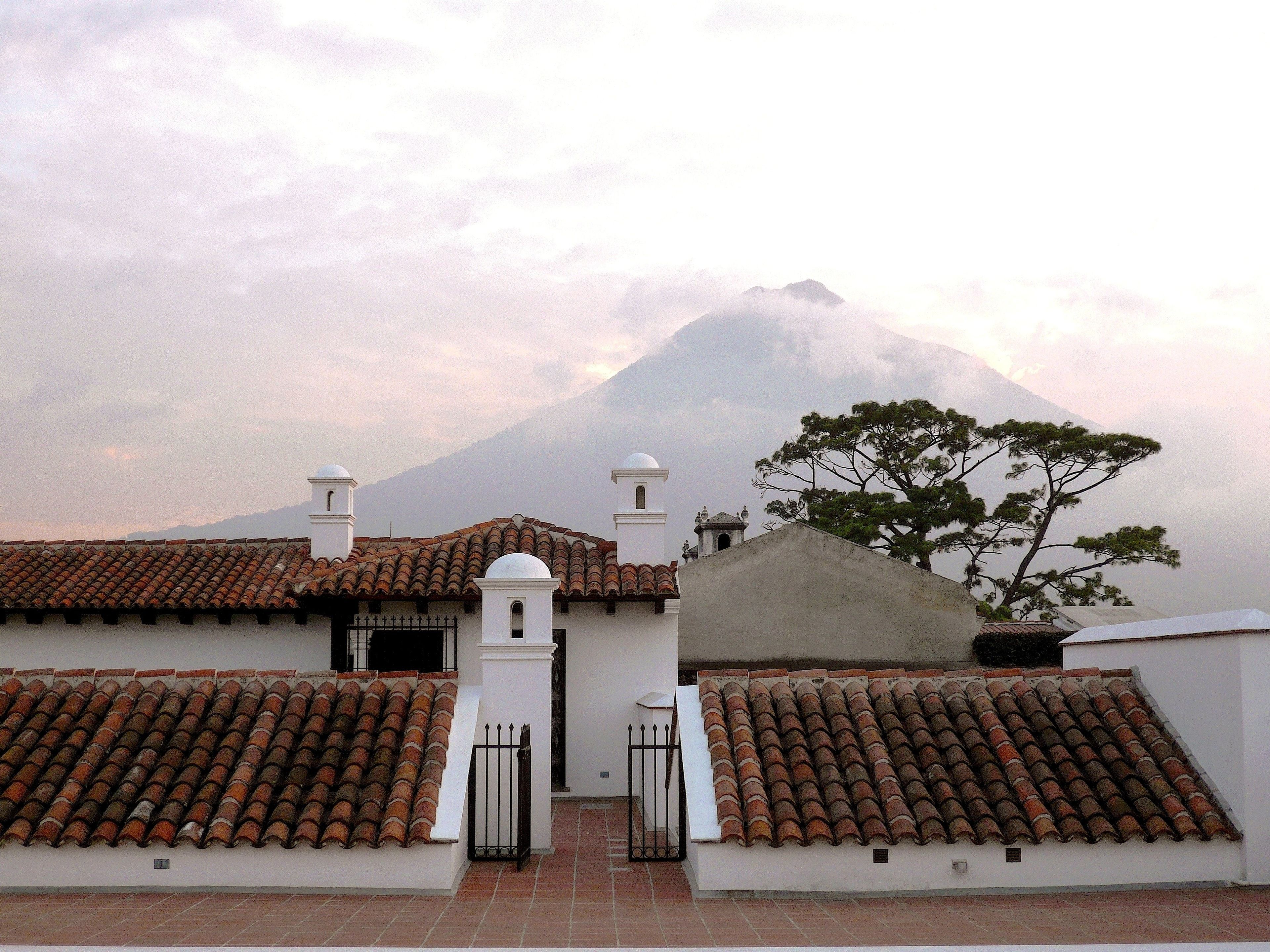 Un edificio con techos de tejas de terracota y fachada blanca, que presenta una puerta y un árbol en primer plano.