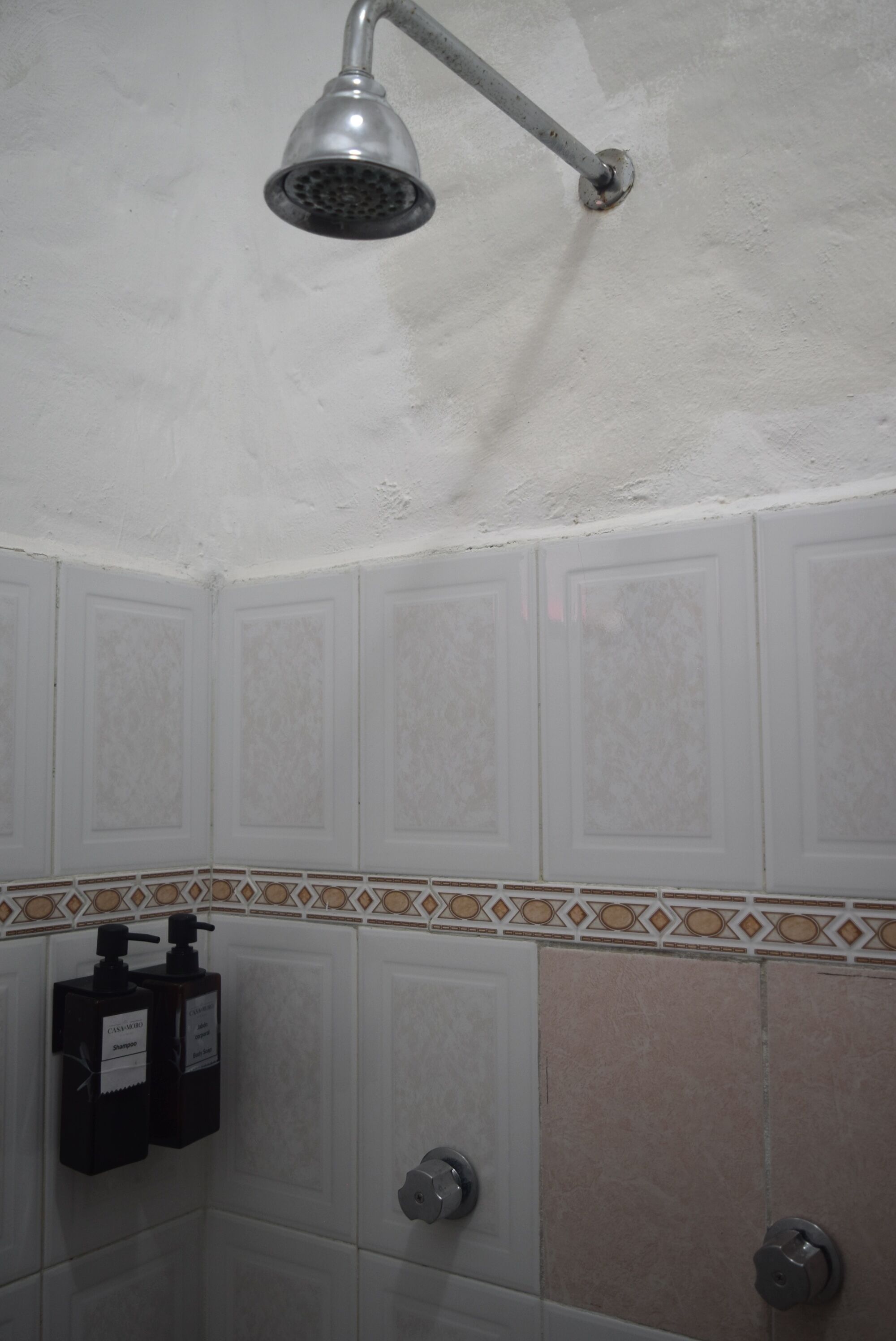 standard room | bathroom shower