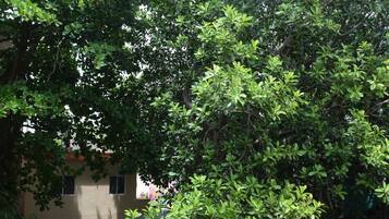 Habitación doble de lujo, 1 habitación | Vista al jardín