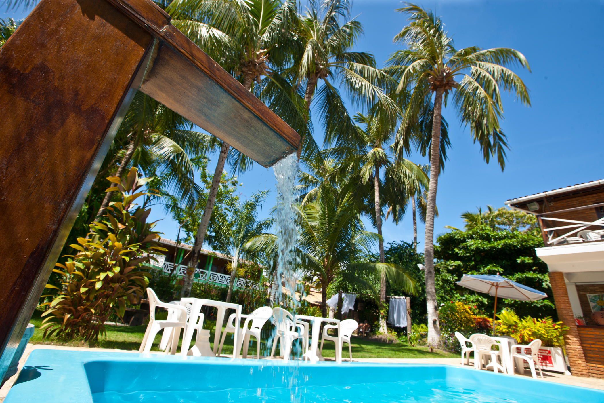 A swimming pool with white chairs and a palm tree in the background.