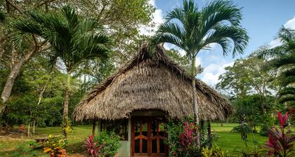 Bocawina Rainforest Resort & Adventures