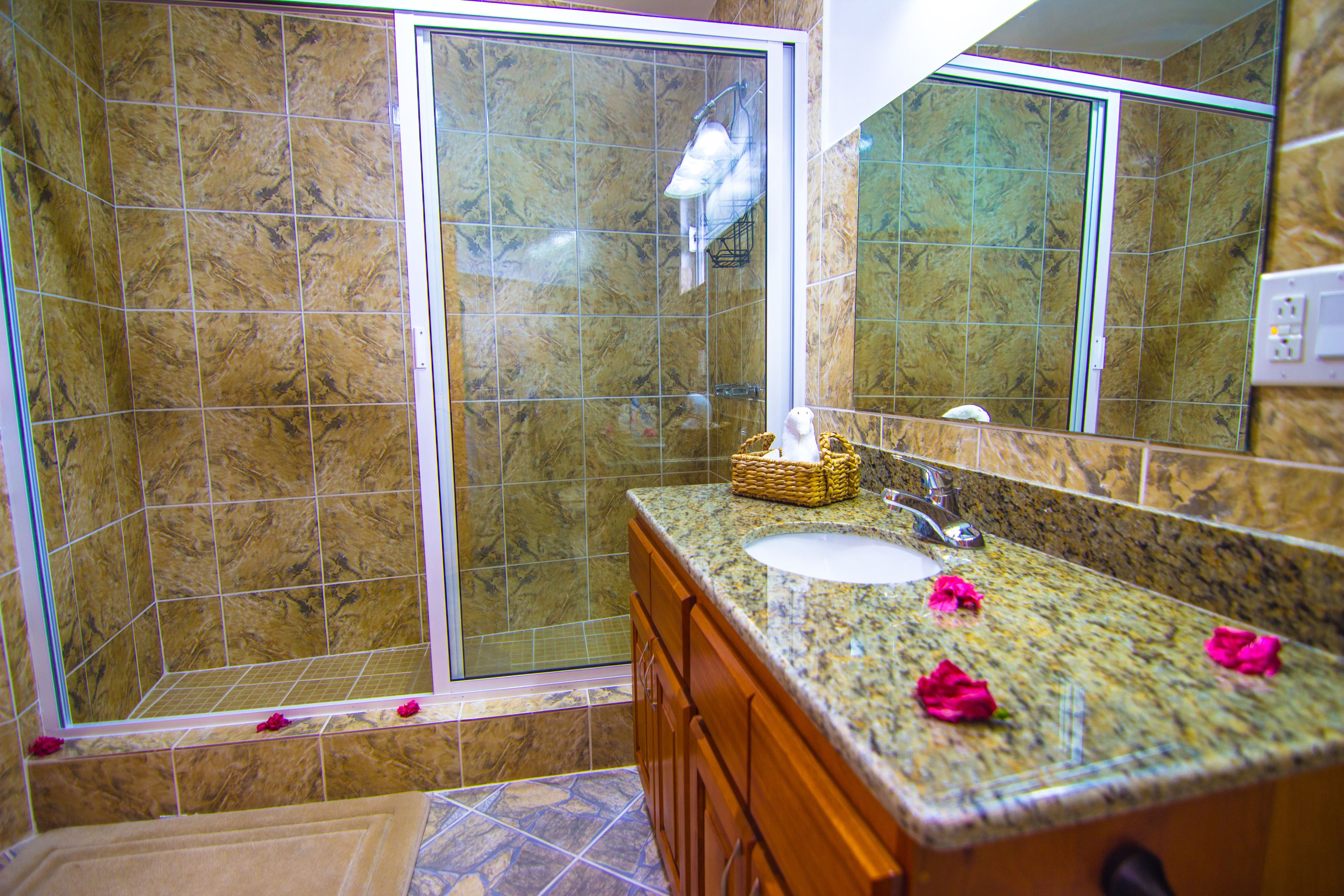 deluxe suite | bathroom | shower, eco-friendly toiletries, towels, soap
