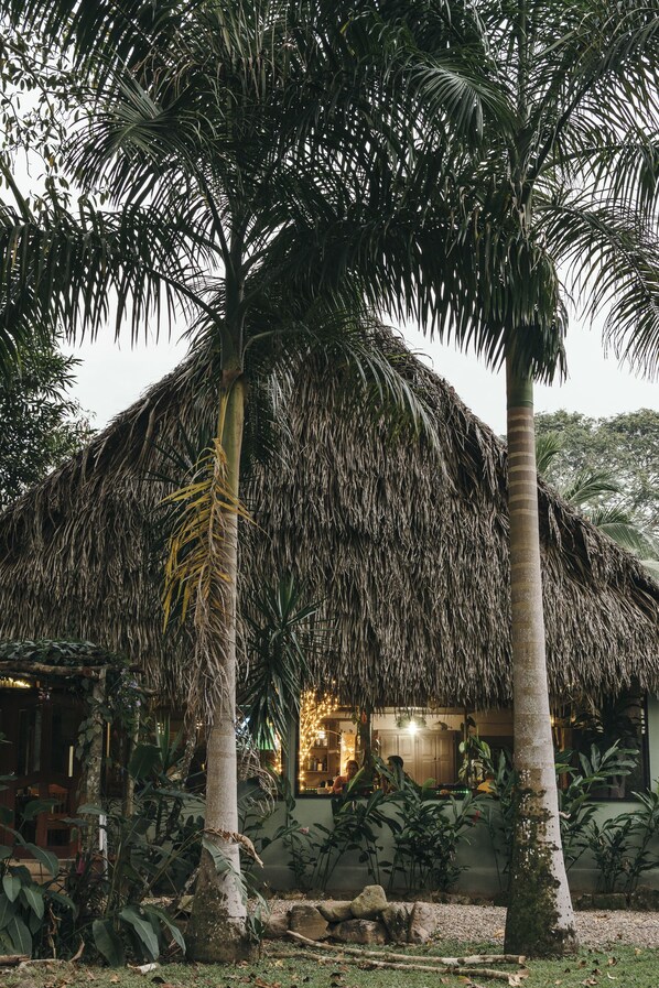 View from property - Bocawina Rainforest Resort & Adventures (Hopkins)