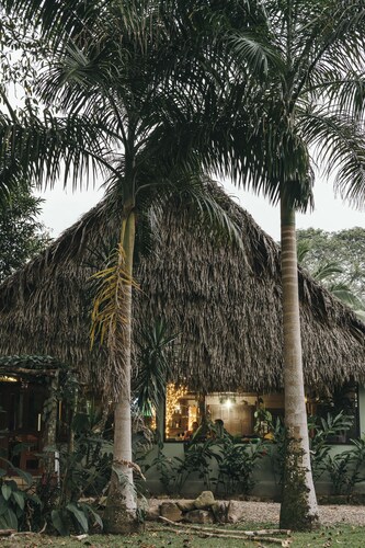 Bocawina Rainforest Resort & Adventures