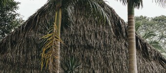 Bocawina Rainforest Resort & Adventures