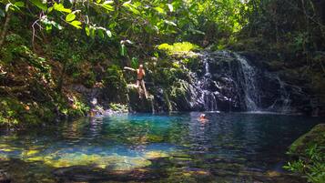 Uma piscina natural com águas límpidas e uma cascata.