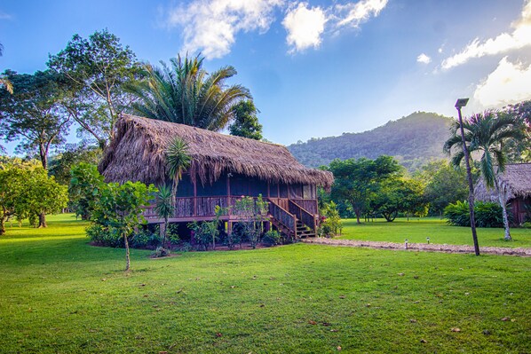 A thatched-roof house with a wooden deck, surrounded by lush greenery and palm trees. - Bocawina Rainforest Resort & Adventures (Hopkins)