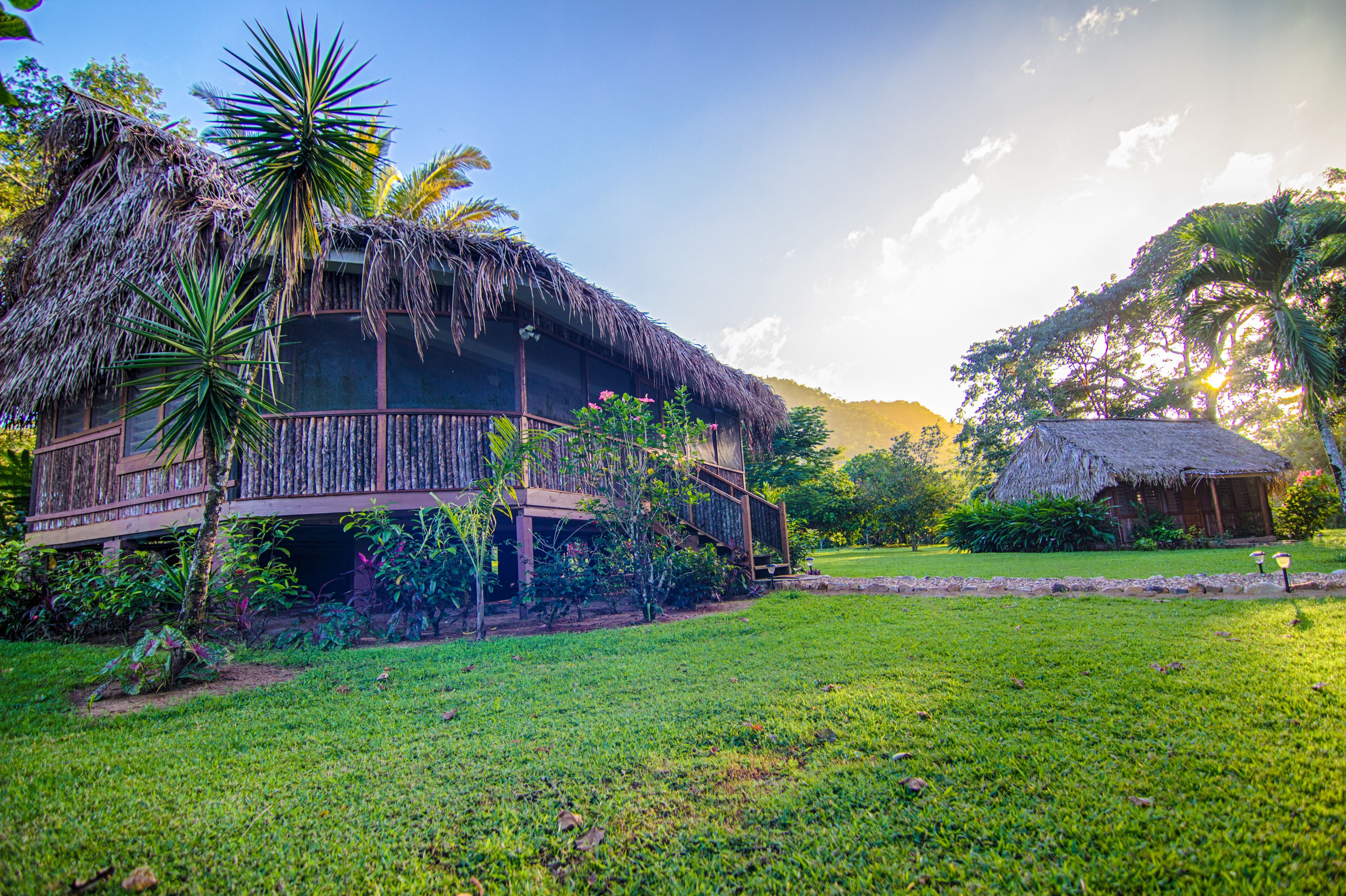 A thatched-roof house with a wooden deck, surrounded by lush greenery and a clear sky.