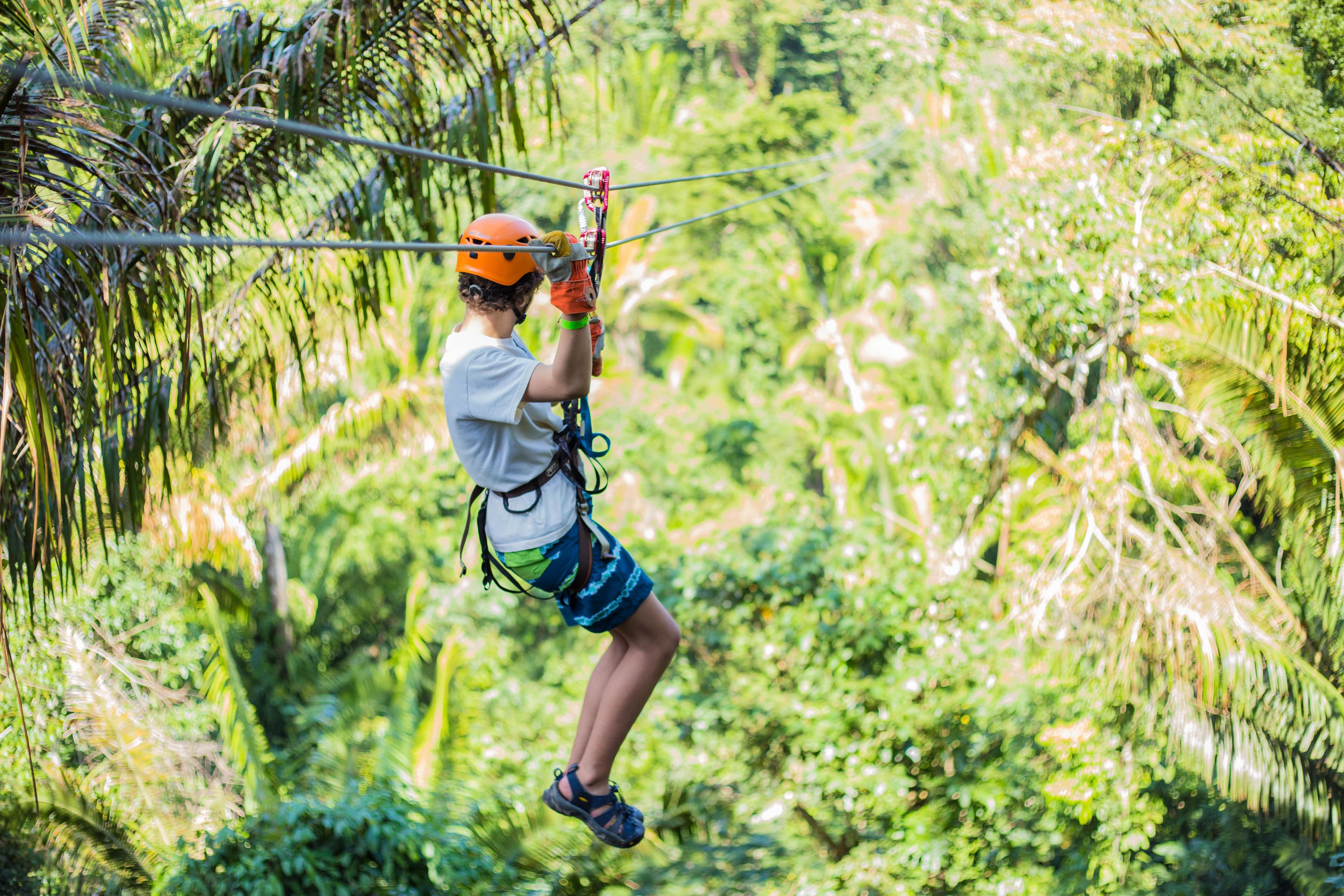 A person zip-lining through a lush, green forest.